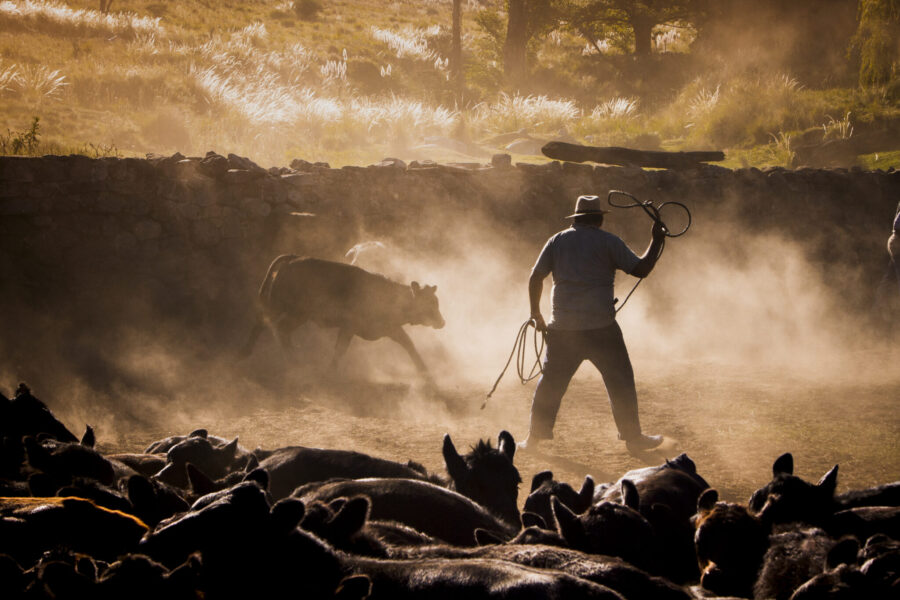 Estancia ride in Sierras Chicas, Argentina - Globetrotting horse riding holidays