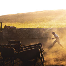 Estancia ride in Sierras Chicas, Argentina - Globetrotting horse riding holidays