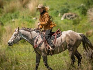 Globetrotting Guest Horse: Te One - The River Valley Ride, North Island, New Zealand - Globetrotting horse riding holidays