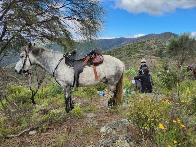 The Snowy River Ride, Victoria, Australia - Globetrotting horse riding holidays