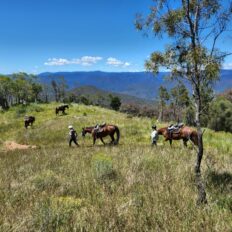 The Snowy River Ride, Victoria, Australia - Globetrotting horse riding holidays
