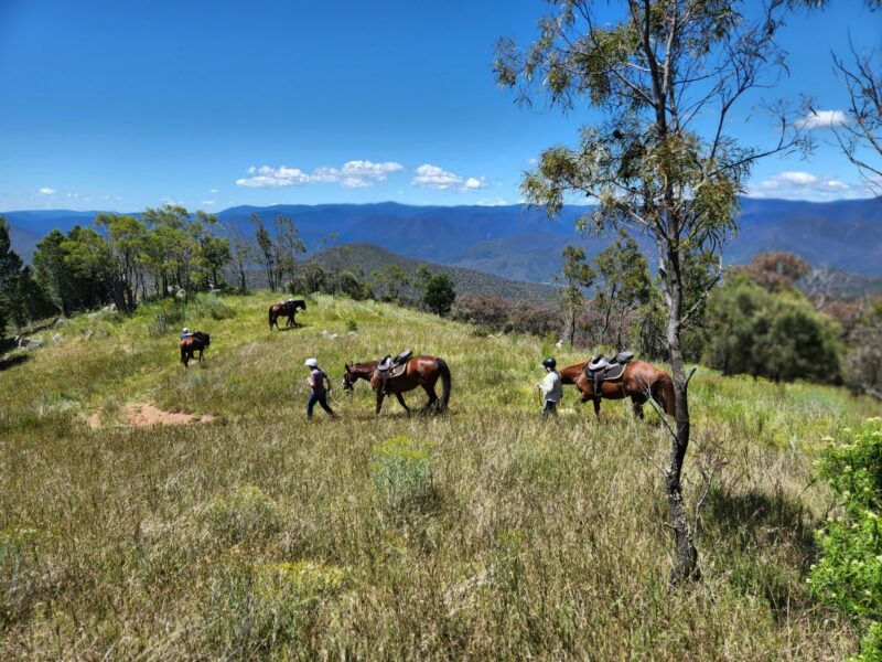 The Snowy River Ride, Victoria, Australia - Globetrotting horse riding holidays