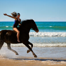 Twin Coast Adventure, New Zealand - Globetrotting horse riding holidays