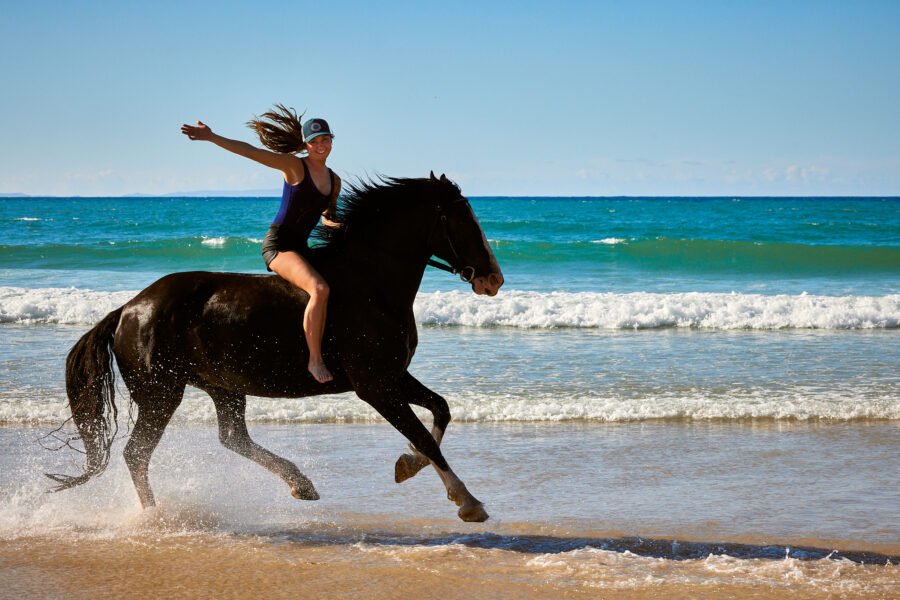 Twin Coast Adventure, New Zealand - Globetrotting horse riding holidays