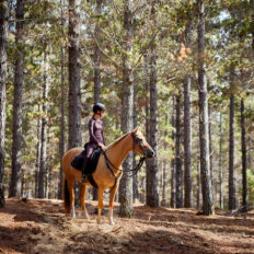 Twin Coast Adventure, New Zealand - Globetrotting horse riding holidays