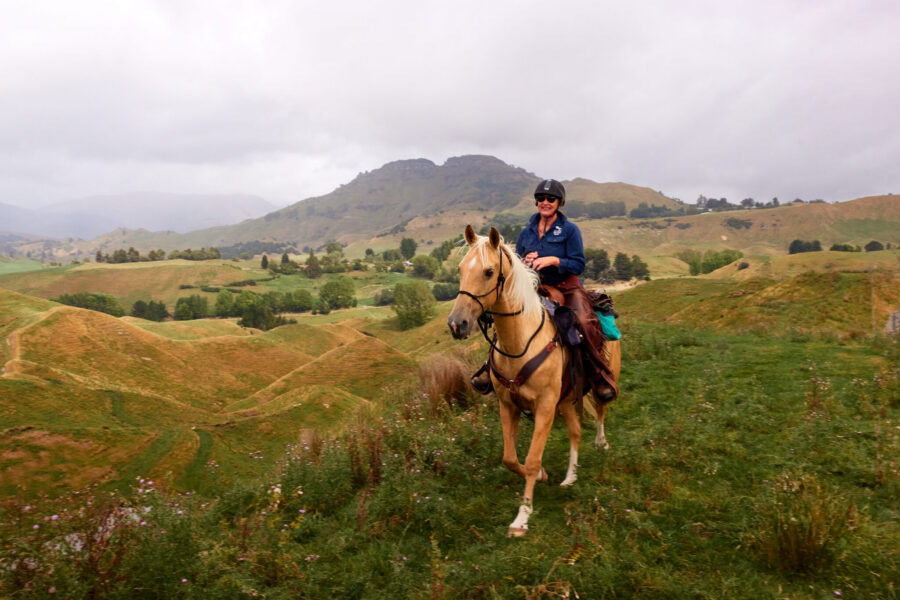 The River Valley Ride, North Island, New Zealand - Globetrotting horse riding holidays