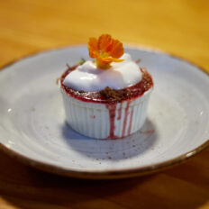 The River Valley Ride, North Island, New Zealand - Globetrotting horse riding holidays