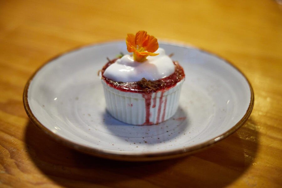 The River Valley Ride, North Island, New Zealand - Globetrotting horse riding holidays