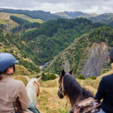The River Valley Ride, North Island, New Zealand - Globetrotting horse riding holidays