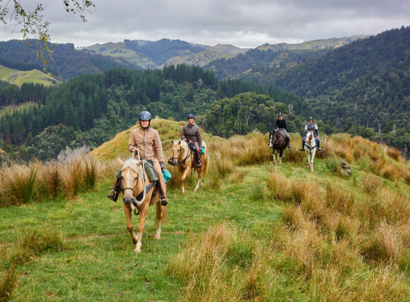 The River Valley Ride, North Island, New Zealand - Globetrotting horse riding holidays