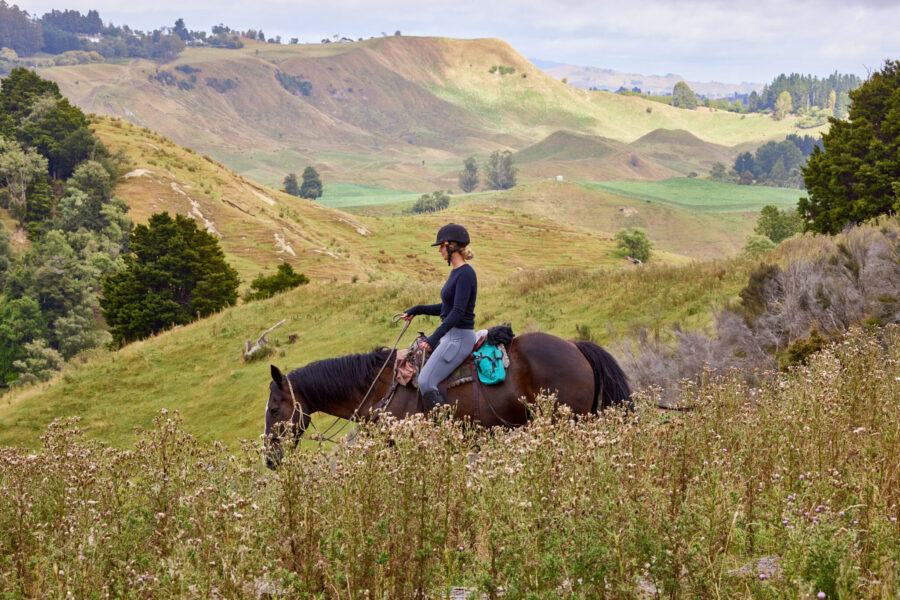 The River Valley Ride, North Island, New Zealand - Globetrotting horse riding holidays