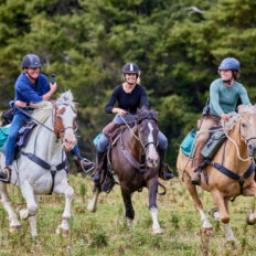 The River Valley Ride, North Island, New Zealand - Globetrotting horse riding holidays