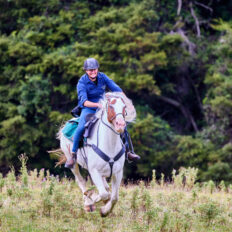 The River Valley Ride, North Island, New Zealand - Globetrotting horse riding holidays