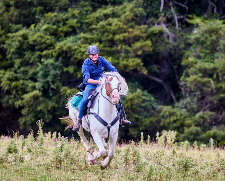 The River Valley Ride, North Island, New Zealand - Globetrotting horse riding holidays