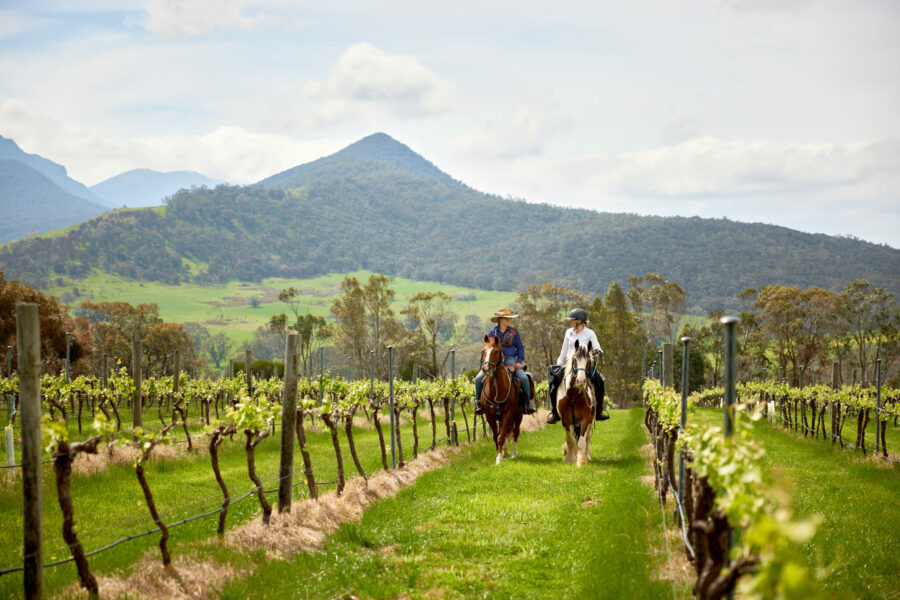 The Grampians Ride, Victoria, Australia - Globetrotting horse riding holidays