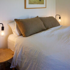 The River Valley Ride, North Island, New Zealand - Globetrotting horse riding holidays