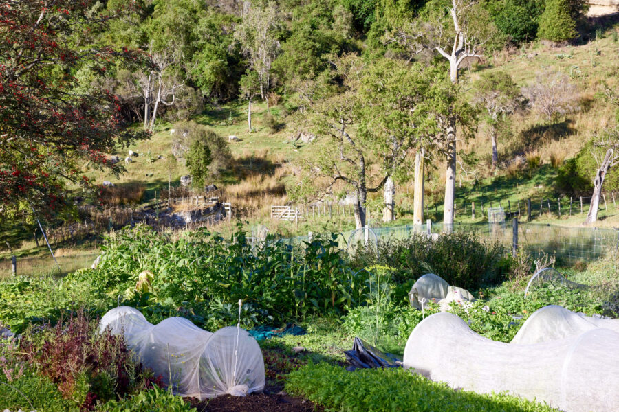 The River Valley Ride, North Island, New Zealand - Globetrotting horse riding holidays