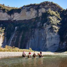 The River Valley Ride, North Island, New Zealand - Globetrotting horse riding holidays