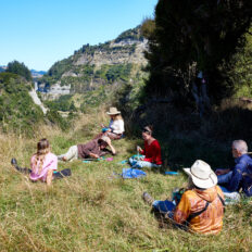 The River Valley Ride, North Island, New Zealand - Globetrotting horse riding holidays