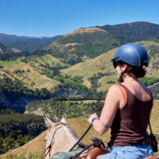 The River Valley Ride, North Island, New Zealand - Globetrotting horse riding holidays