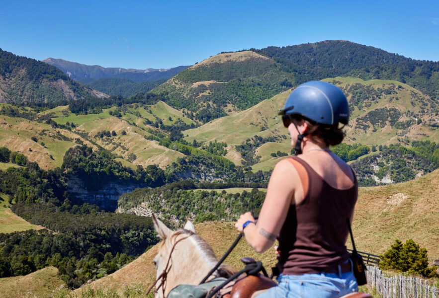 The River Valley Ride, North Island, New Zealand - Globetrotting horse riding holidays
