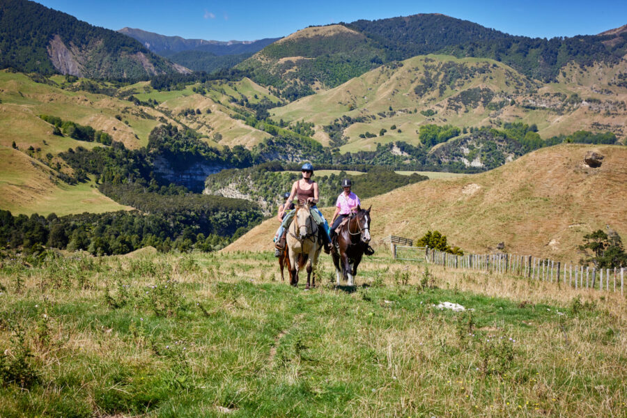 The River Valley Ride, North Island, New Zealand - Globetrotting horse riding holidays