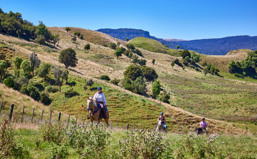 The River Valley Ride, North Island, New Zealand - Globetrotting horse riding holidays
