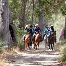 The Margaret River Ride, Western Australia - Globetrotting horse riding holidays