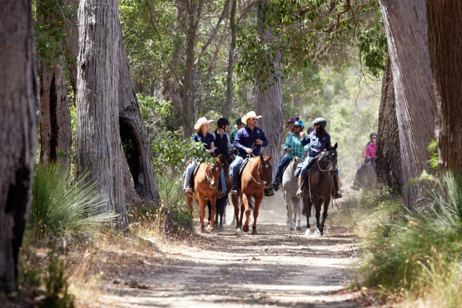 The Margaret River Ride, Western Australia - Globetrotting horse riding holidays