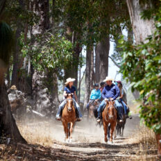 The Margaret River Ride, Western Australia - Globetrotting horse riding holidays
