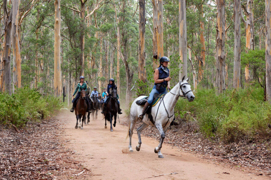 The Margaret River Ride, Western Australia - Globetrotting horse riding holidays