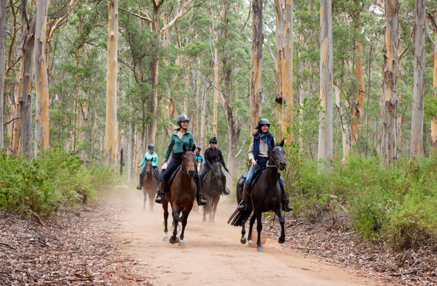 The Margaret River Ride, Western Australia - Globetrotting horse riding holidays