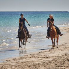 The Margaret River Ride, Western Australia - Globetrotting horse riding holidays