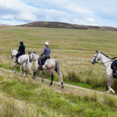 The Scottish Highlands Ride, Scotland - Globetrotting horse riding holidays