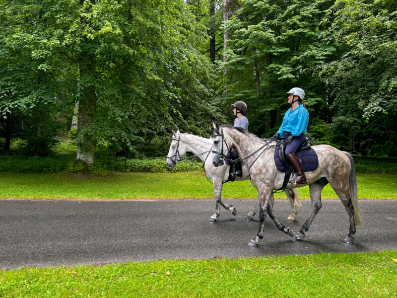 The Scottish Highlands Ride, Scotland - Globetrotting horse riding holidays