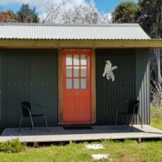 Twin Coast Adventure, North Island, New Zealand - Globetrotting horse riding holidays