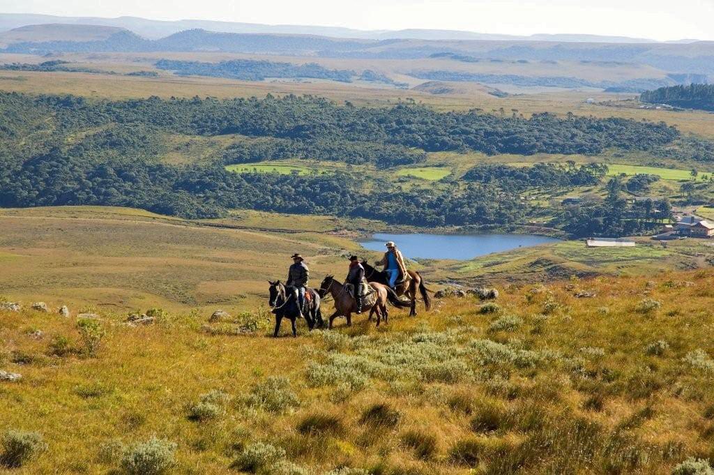 riders on forest plain near lake in brazil horse riding holiday by globetrotting