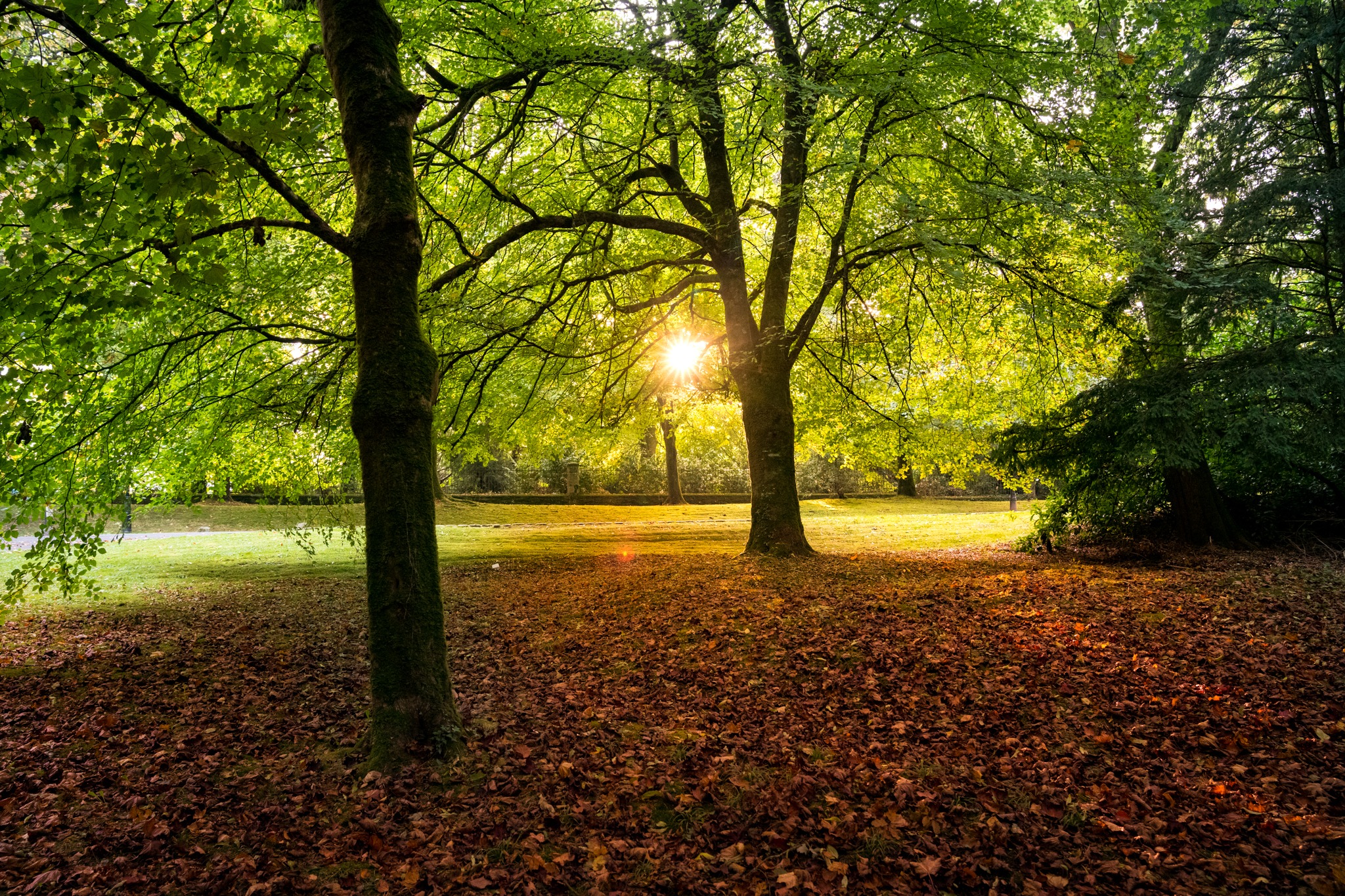 Castle and Estate horse riding holiday, Ireland