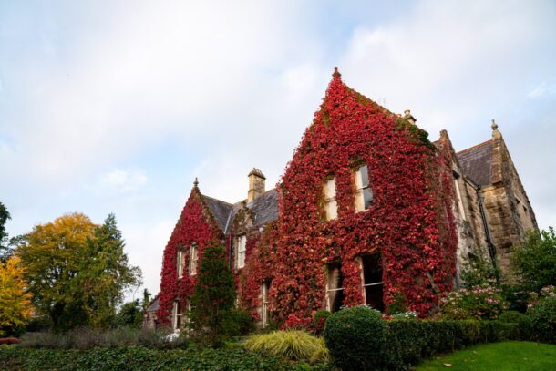 Castle and Estate horse riding holiday, Ireland