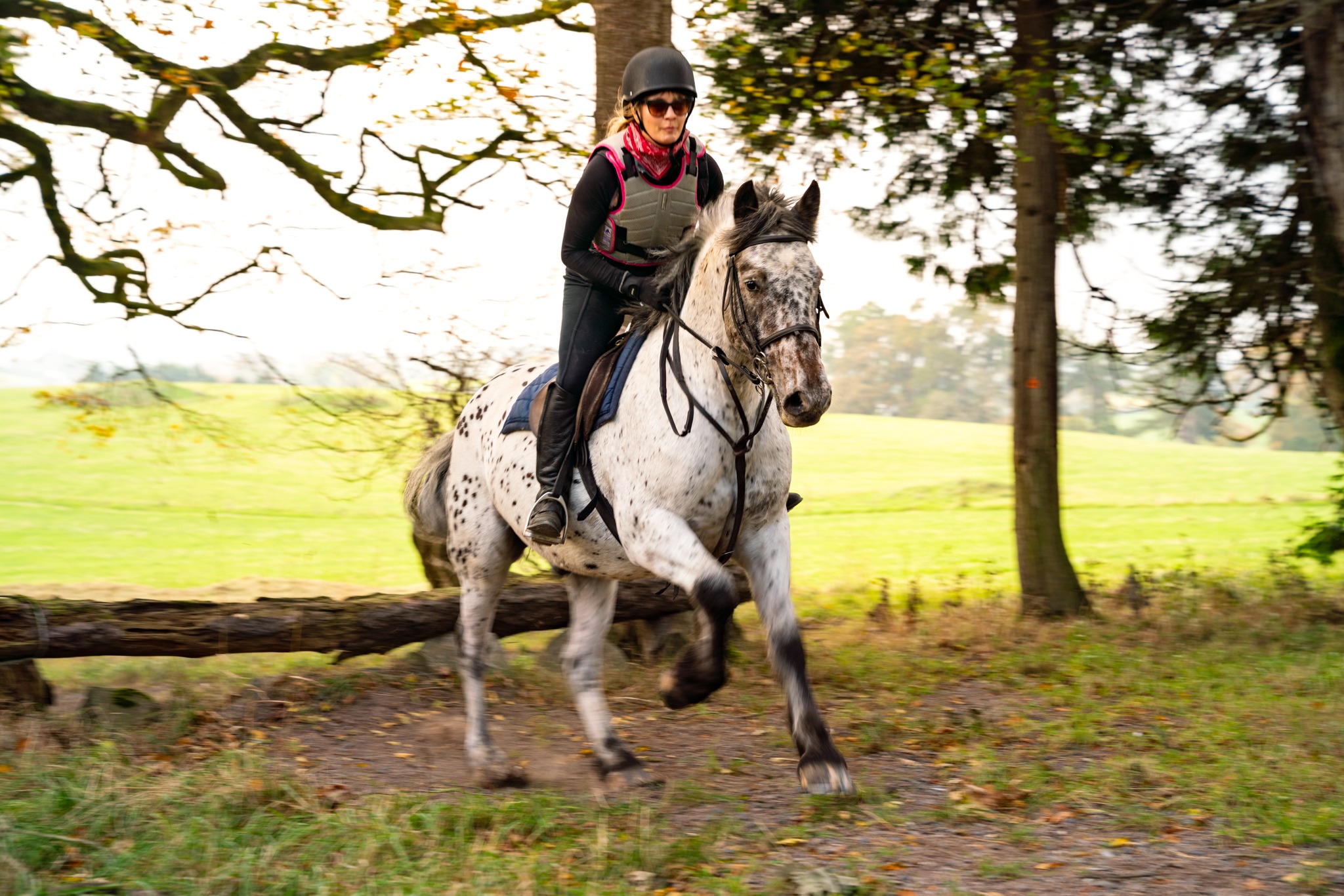 Castle and Estate horse riding holiday in Ireland