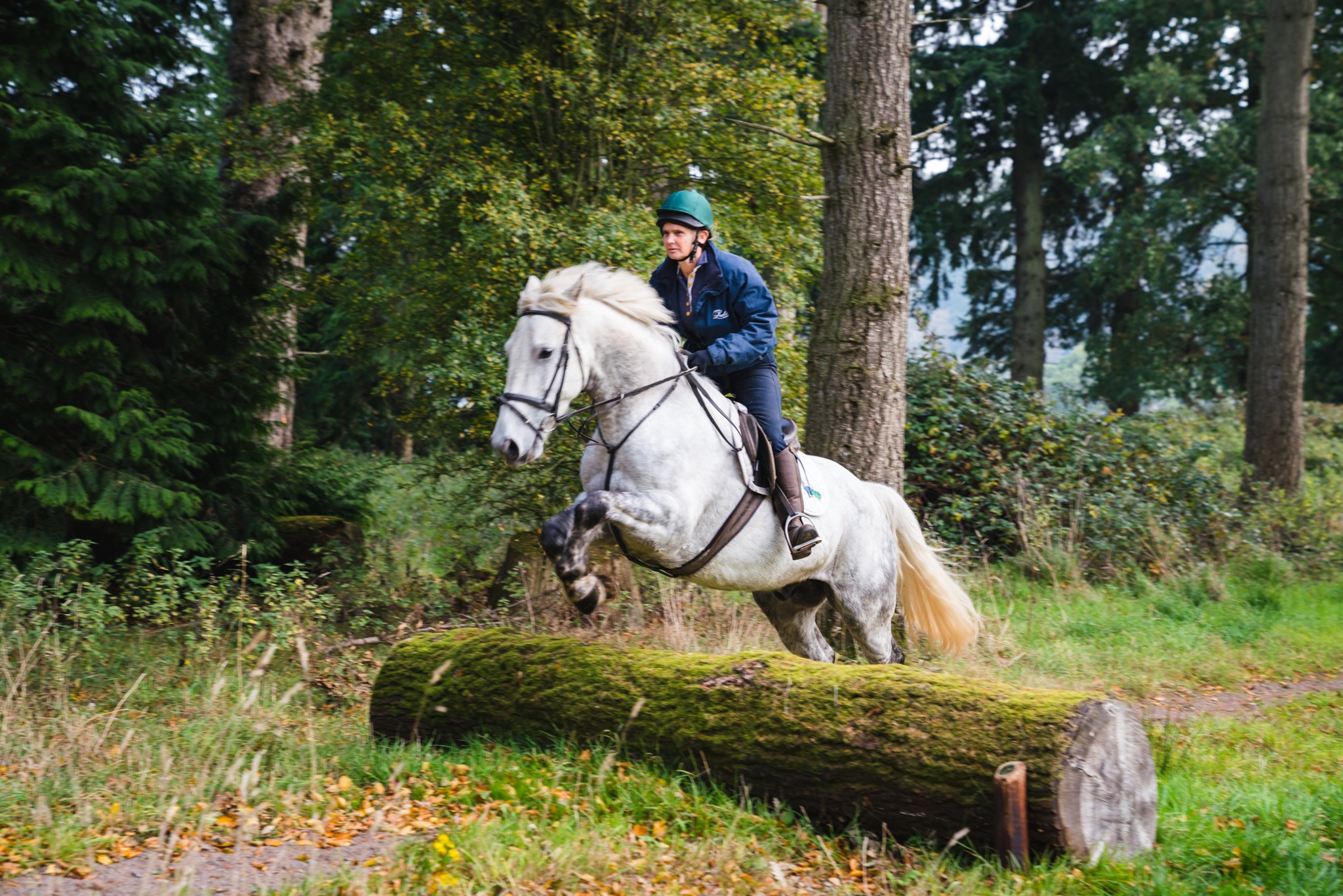 rider cross country jumping on horse riding holiday in Ireland by globetrotting