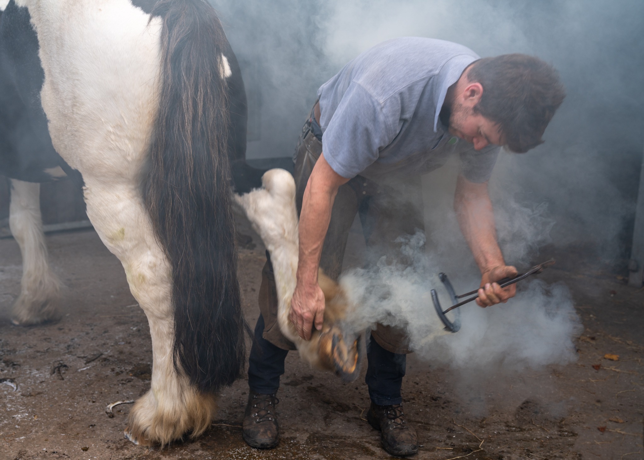 Castle and Estate horse riding holiday, Ireland
