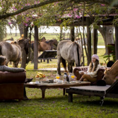Estancia ride in Corrientes, Argentina - Globetrotting horse riding holidays