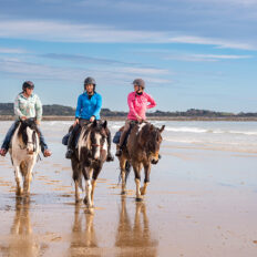 The Tassie Ride - Globetrotting horse riding holidays
