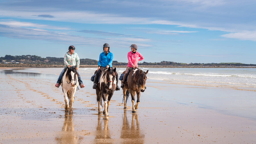 The Tassie Ride - Globetrotting horse riding holidays