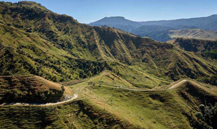 The River Valley Ride, North Island, New Zealand - Globetrotting horse riding holidays