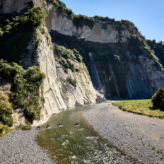 The River Valley Ride, North Island, New Zealand - Globetrotting horse riding holidays