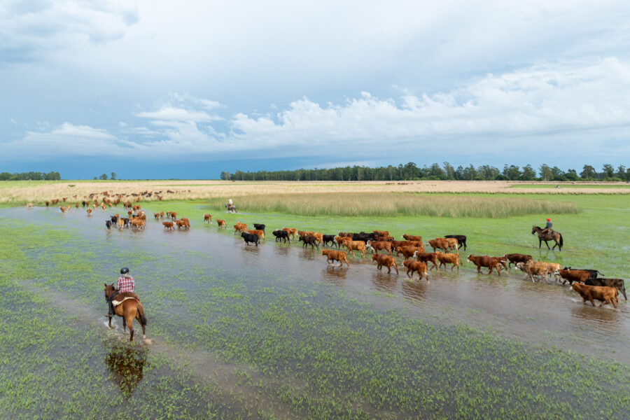 Corrientes, Argentina - Globetrotting horse riding holidays