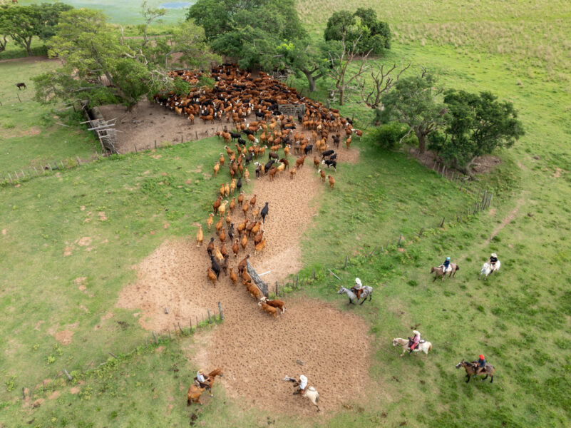 Corrientes, Argentina - Globetrotting horse riding holidays