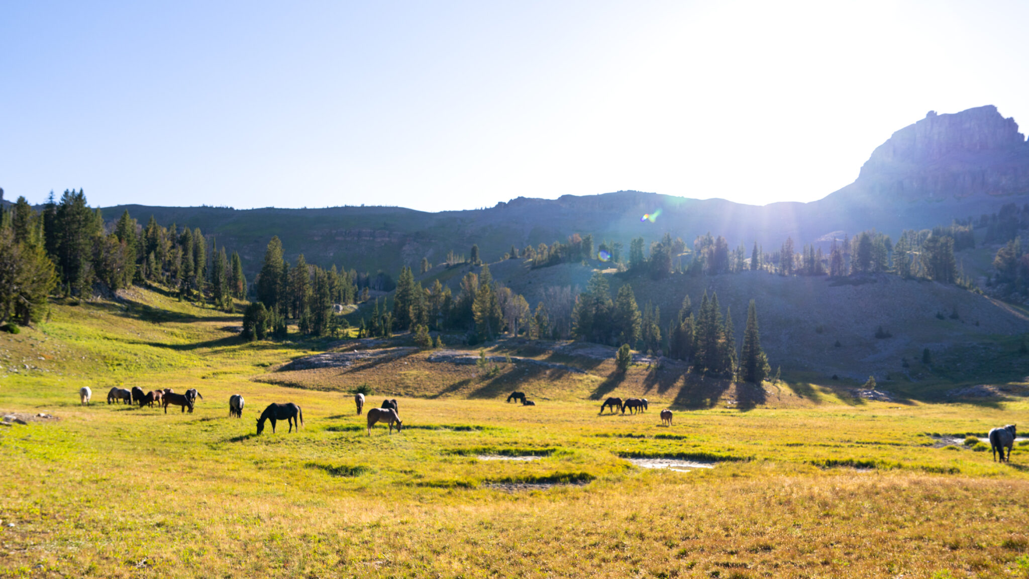 The Grand Tetons Ride, Wyoming, USA - Globetrotting horse riding holidays